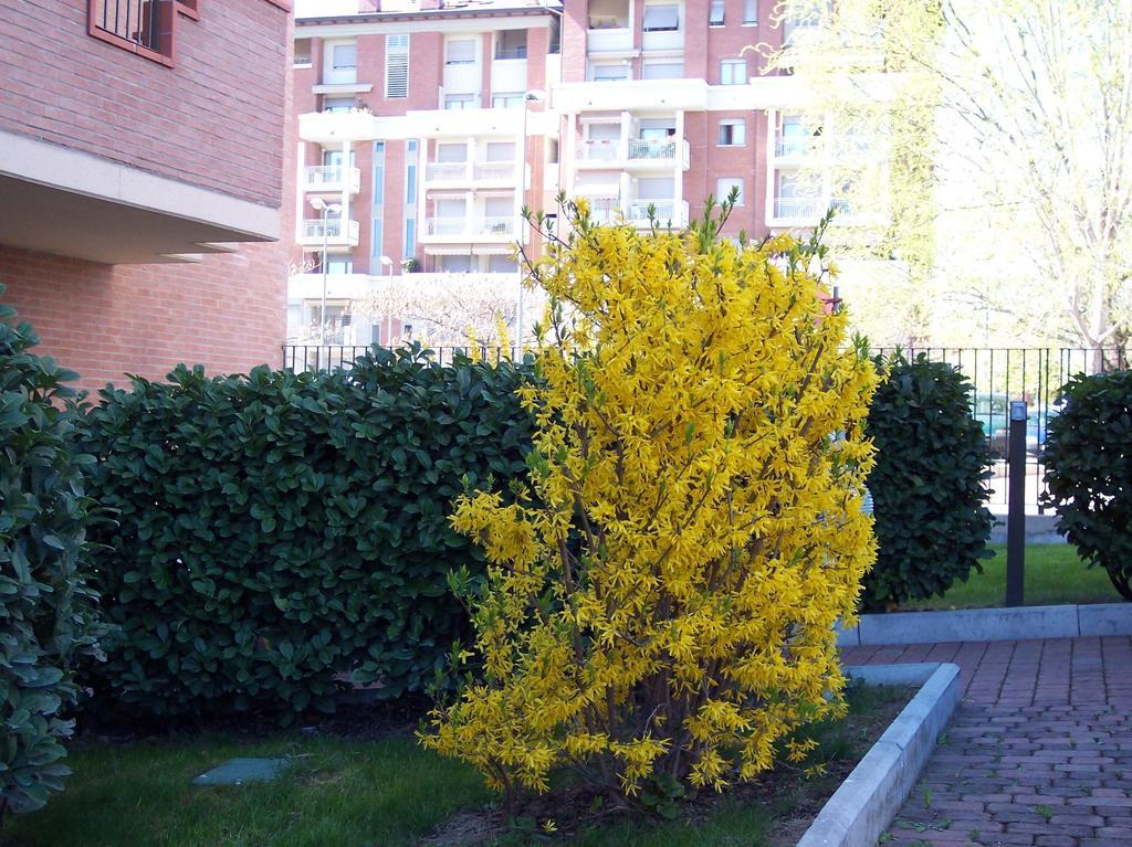 بارما B&B Il Parco المظهر الخارجي الصورة