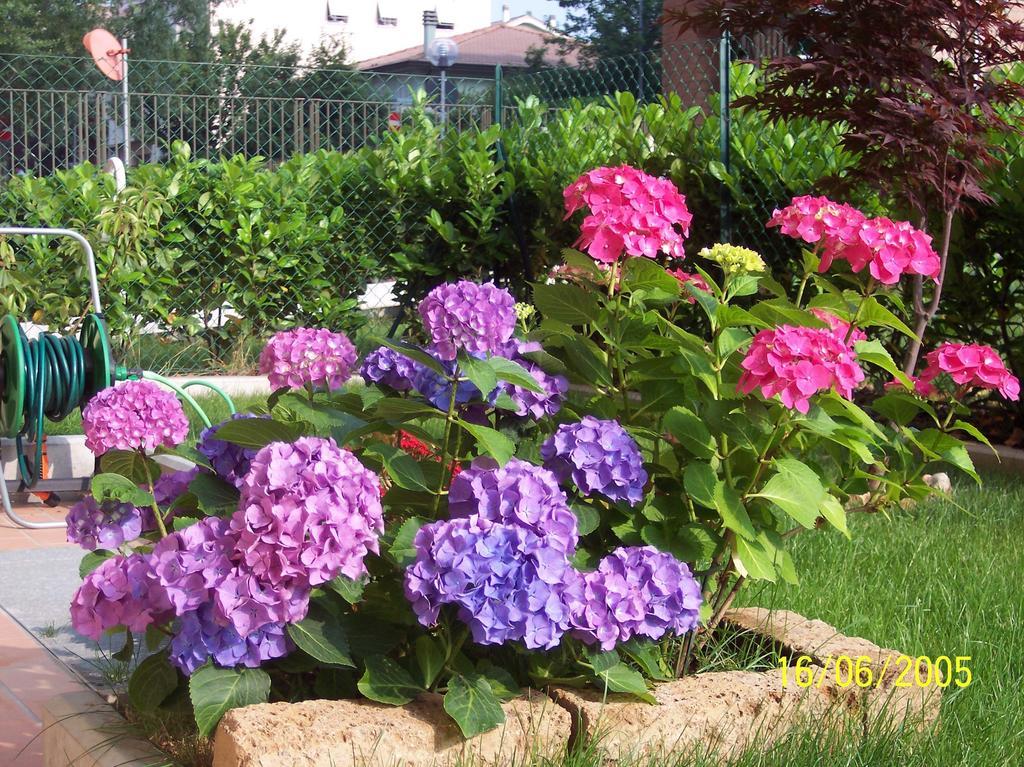 بارما B&B Il Parco المظهر الخارجي الصورة